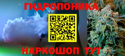 молекула духа Кингисепп