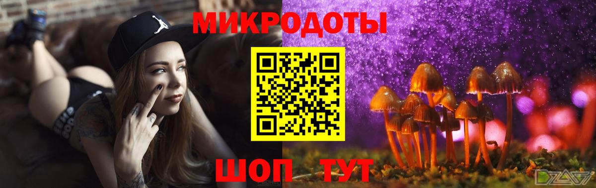 купить закладку  Вход с VPN  Котовск  Псилоцибиновые грибы GOLDEN TEACHER 