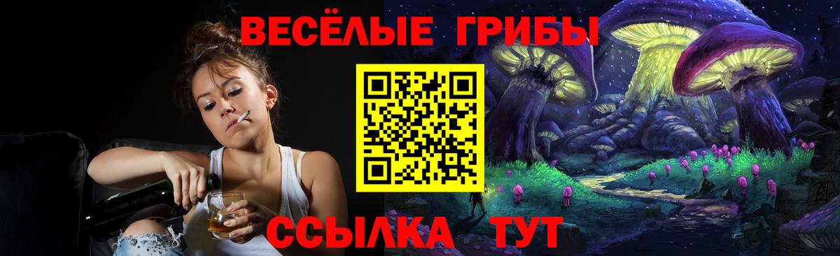 Галлюциногенные грибы мицелий Котовск